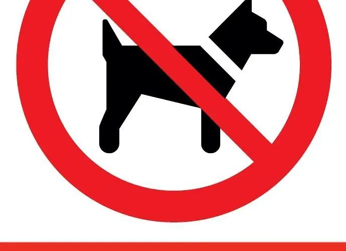 Ceglana Park- Prywatny Parking- Piekne Osiedle- Nowe Luksusowe Mieszkanie Z Biurkiem דירה